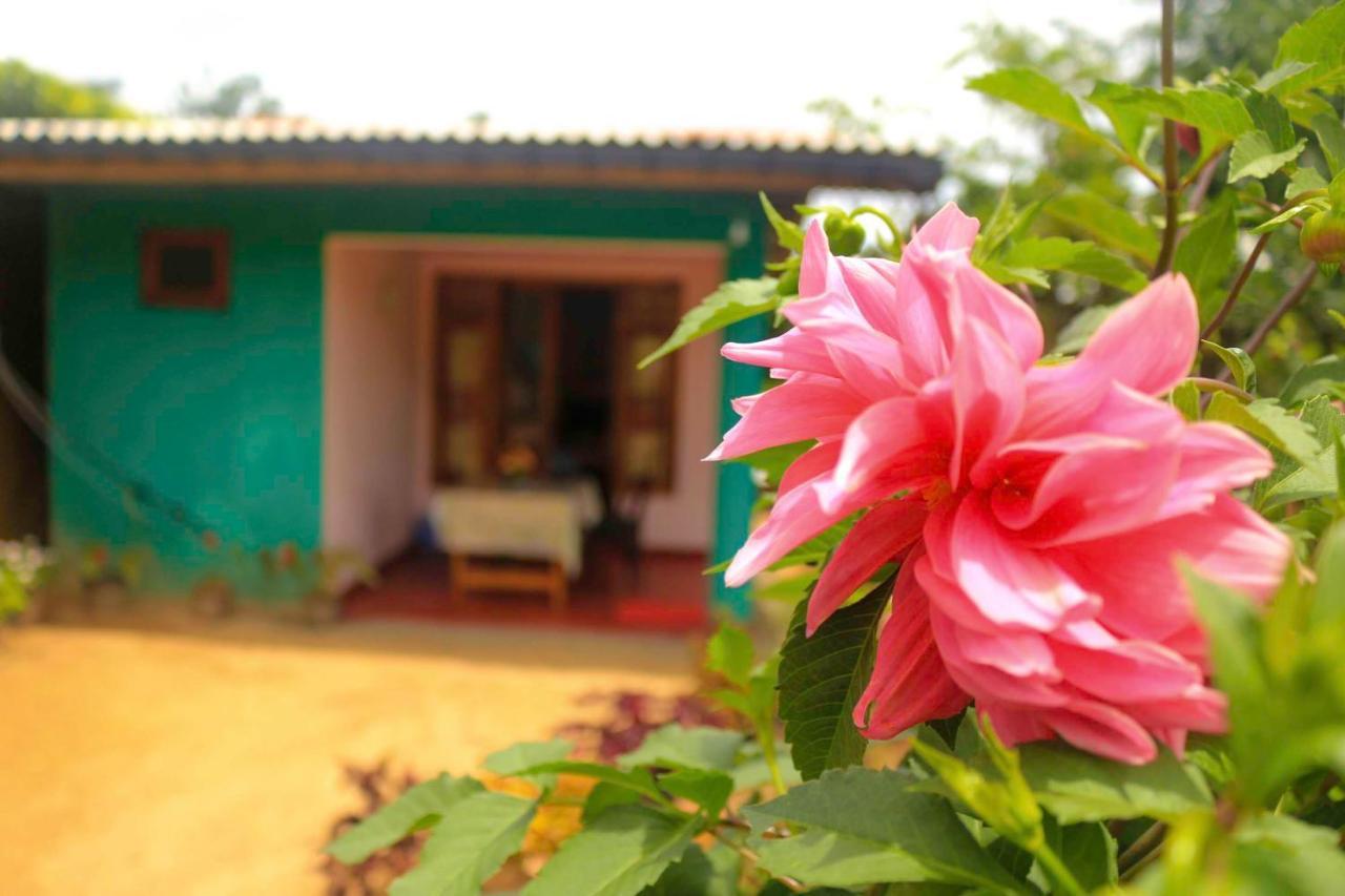 Yoho Nilmini Homestay Ella Exterior foto